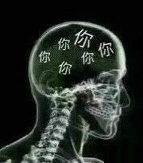 520���˹�(ji��)΢������Ȧ