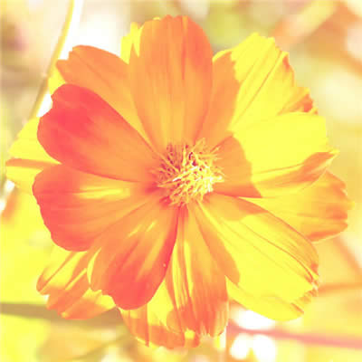 ���\���~���^��