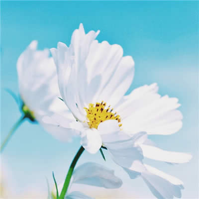 ���\���~���^��