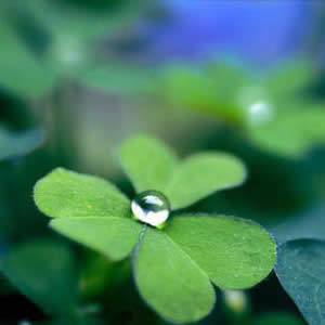 ���\���~���^��