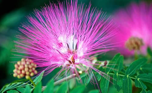 ΢�������R�eֲ��