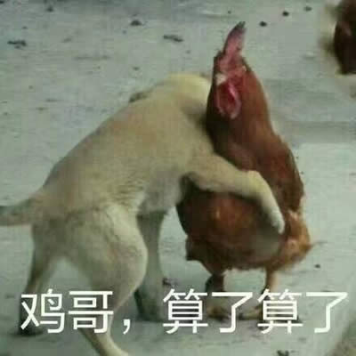 �������˱����