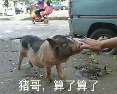 �������˱����