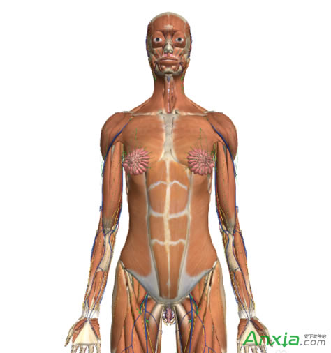 �ȸ�,�ȸ����w�g�[��,�ȸ����w�g�[����ô��