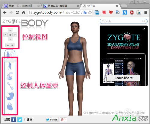 �ȸ�,�ȸ����w�g�[��,�ȸ����w�g�[����ô��