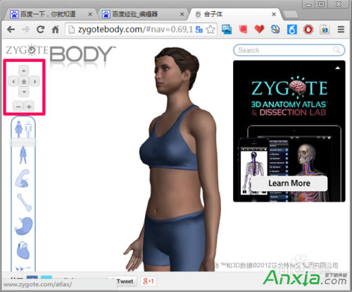 �ȸ�,�ȸ����w�g�[��,�ȸ����w�g�[����ô��