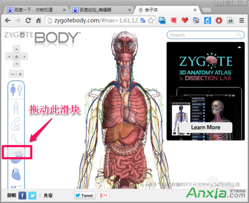 �ȸ�,�ȸ����w�g�[��,�ȸ����w�g�[����ô��