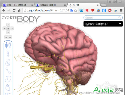 �ȸ�,�ȸ����w�g�[��,�ȸ����w�g�[����ô��