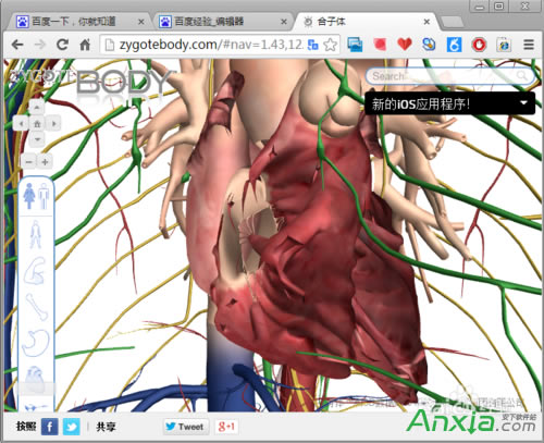 �ȸ�,�ȸ����w�g�[��,�ȸ����w�g�[����ô��