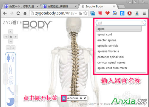 �ȸ�,�ȸ����w�g�[��,�ȸ����w�g�[����ô��