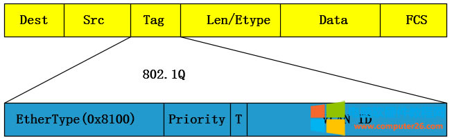 Vlan tag��VLAN�˺���