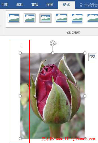 Word 2016 õ�廨�DƬ���ü����Ĳ���ȫ��߀ԭ