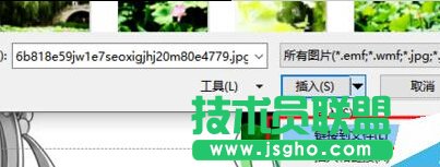 PowerPoint����ĈDƬ�܉�푑�Դ�DƬ�ļ����޸�