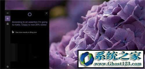 ᘌ�Windows 10��IE Flash Player���£�KB3133431���Д������