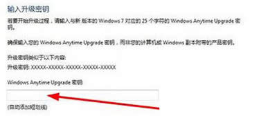 ݔ���������