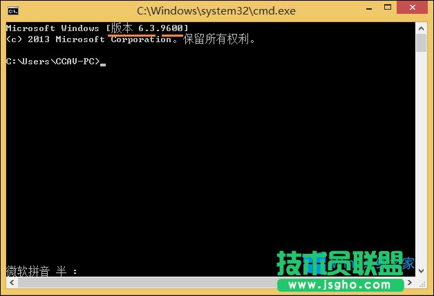 ʹ������鿴Win8ϵ�y(t��ng)�汾�ķ���