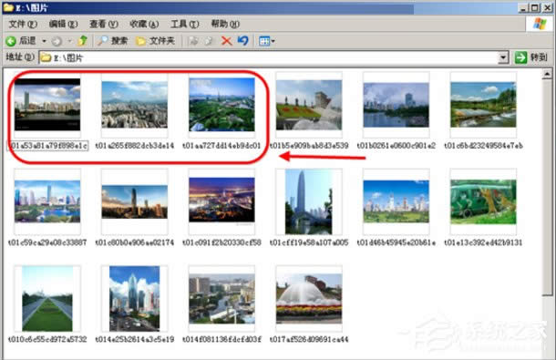 WinXP縮略圖不顯示文件名怎么辦?